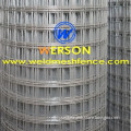 2" x 2" electro Galvanized Welded Wire Mesh | werson
